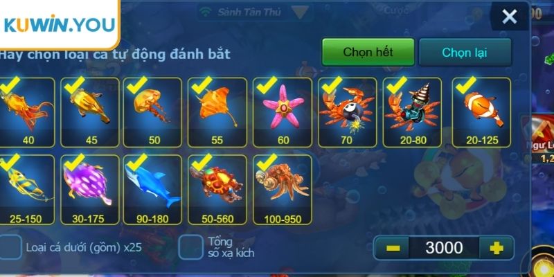 Hướng dẫn tiếp cận từng bước rõ ràng dễ hiểu